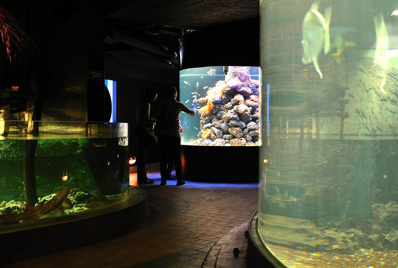Hagenbeck Tierpark Tropenaquarium, Hamburg-Stellingen Fotos von Philipp Neise