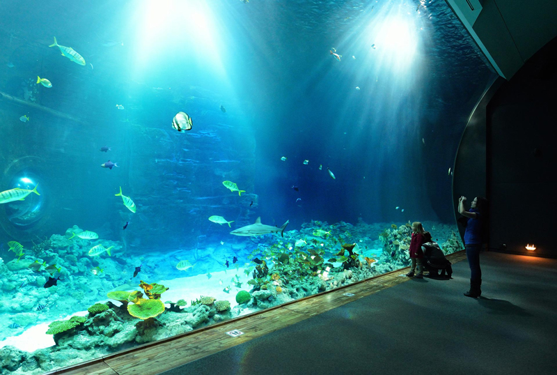 Hagenbeck Tierpark Tropenaquarium, Hamburg-Stellingen Fotos von Philipp Neise