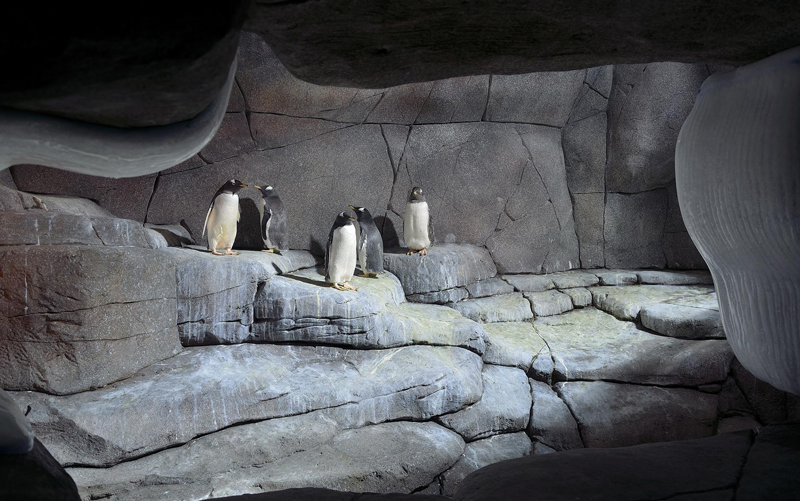 Hagenbeck Tierpark Eismeer, Hamburg-Stellingen Fotos von Philipp Neise